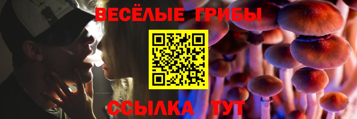 Галлюциногенные грибы мицелий Шахты